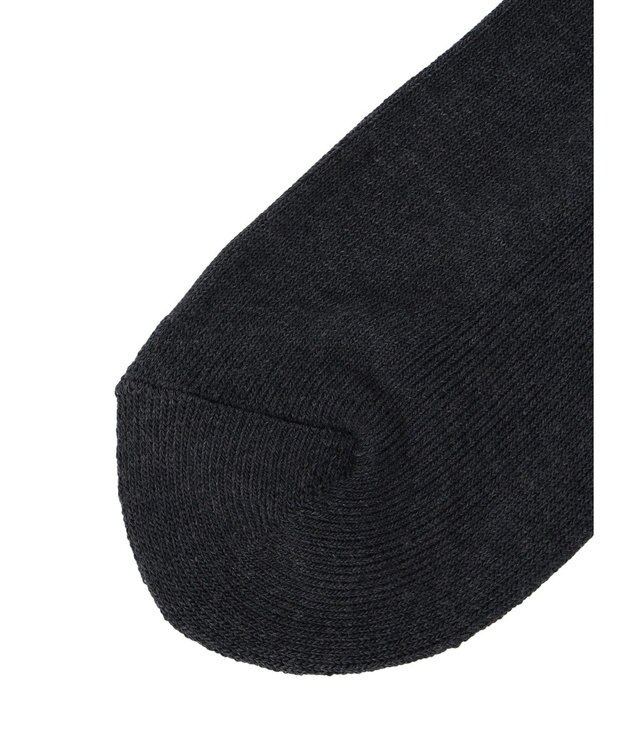 Green Parks ■ＦＲＵＩＴ　ＯＦ　ＴＨＥ　ＬＯＯＭ３Ｐラインロゴソックス Mix