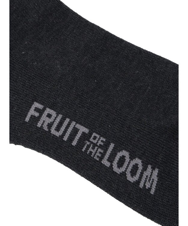 Green Parks ■ＦＲＵＩＴ　ＯＦ　ＴＨＥ　ＬＯＯＭ３Ｐラインロゴソックス Mix