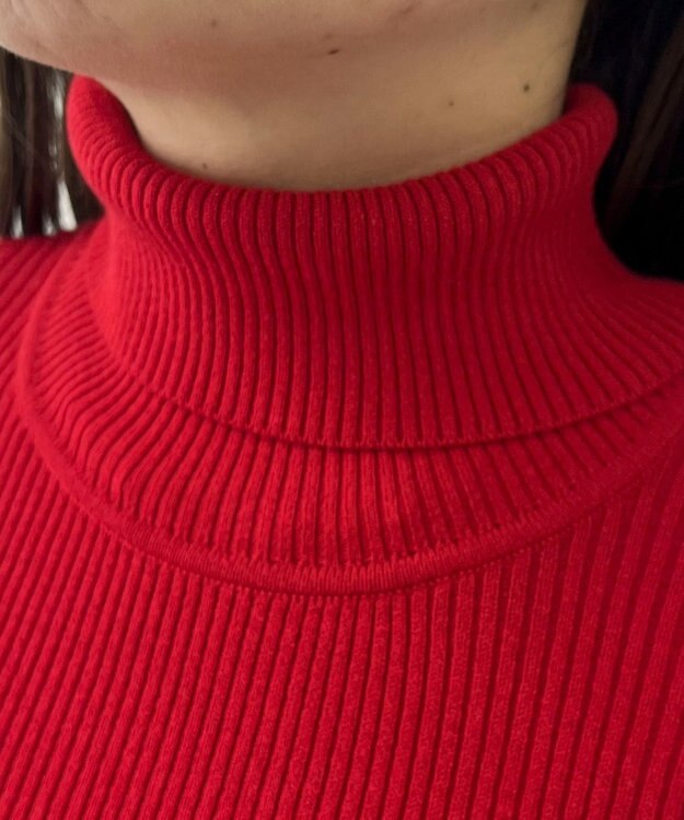 WEGO 【2025年秋冬新作】リブタートルニット レッド