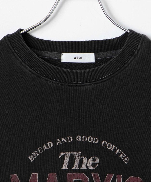 WEGO ピグメントスウェット 柄2