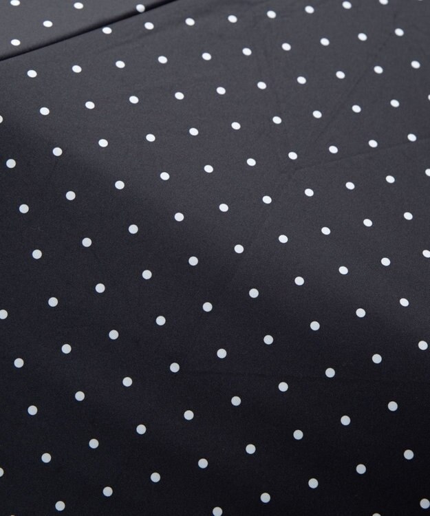 WEGO 【晴雨兼用/折りたたみ傘/日焼け対策/紫外線対策】別注PROTECT　U 柄2