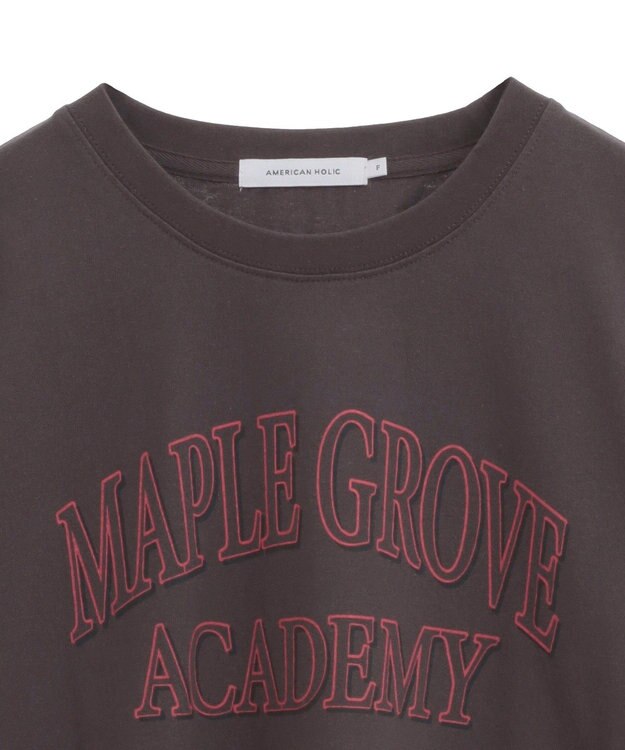 AMERICAN HOLIC バイオウォッシュ加工ロゴＴシャツ Red