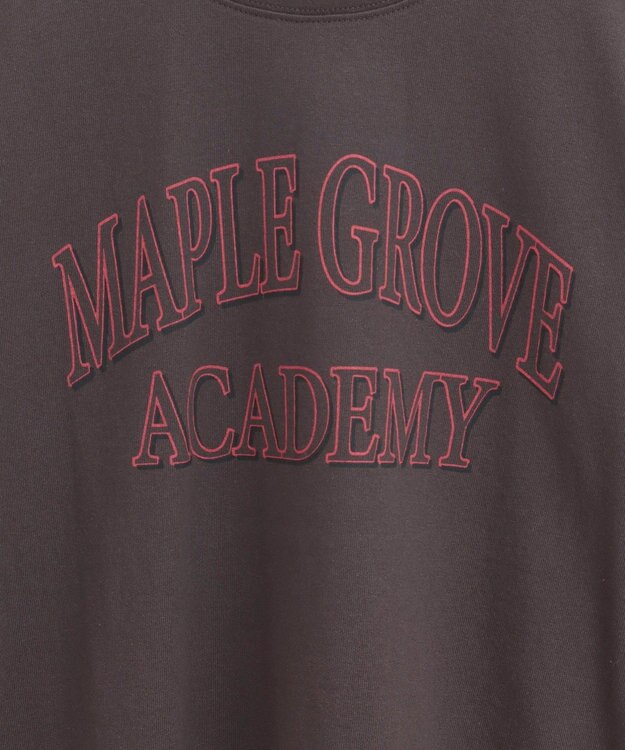 AMERICAN HOLIC バイオウォッシュ加工ロゴＴシャツ Red