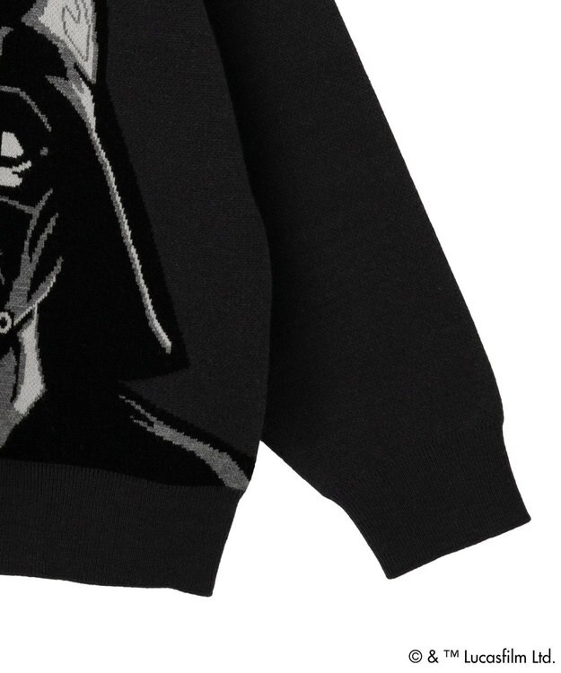 Green Parks ＳＴＡＲ　ＷＡＲＳ／ダース・ベイダーニット Charcoal Gray