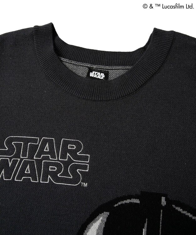 Green Parks ＳＴＡＲ　ＷＡＲＳ／ダース・ベイダーニット Charcoal Gray