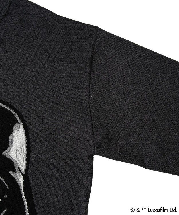 Green Parks ＳＴＡＲ　ＷＡＲＳ／ダース・ベイダーニット Charcoal Gray