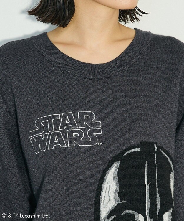 Green Parks ＳＴＡＲ　ＷＡＲＳ／ダース・ベイダーニット Charcoal Gray