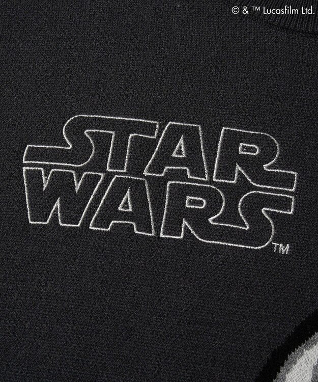 Green Parks ＳＴＡＲ　ＷＡＲＳ／ダース・ベイダーニット Charcoal Gray