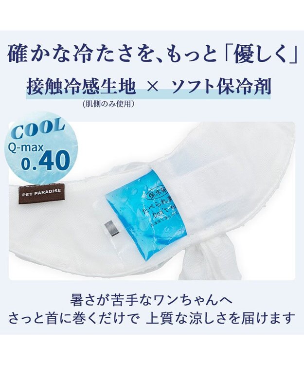 PET PARADISE スヌーピー クールバンダナ 《スイカ柄》 中型犬 大型犬 レッド