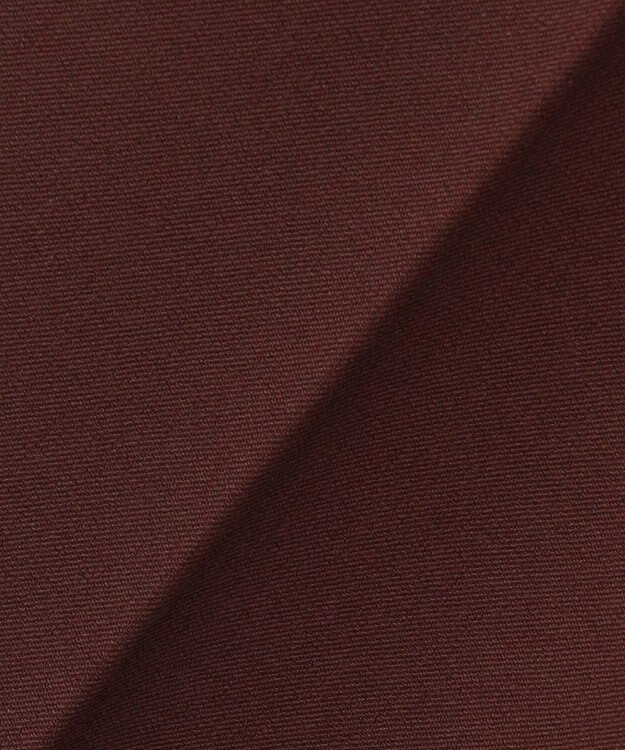 自由区 L 【19号サイズまで展開】TRギャバ裏起毛テーパード パンツ ボルドー