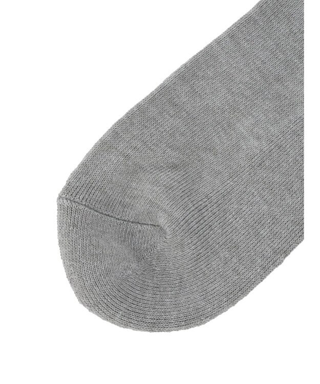 Green Parks ■ＦＲＵＩＴ　ＯＦ　ＴＨＥ　ＬＯＯＭ３Ｐラインロゴソックス Mix