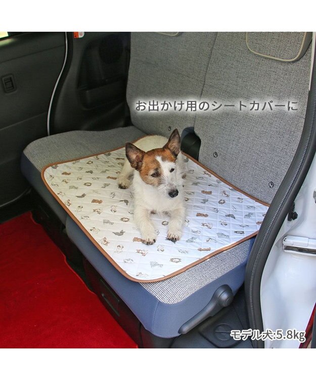 PET PARADISE ペットパラダイス makokoro 吸水マルチマット 《わんちゃん柄》 ホワイト