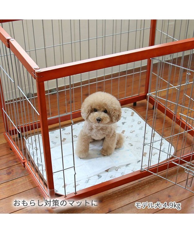 PET PARADISE ペットパラダイス makokoro 吸水マルチマット 《わんちゃん柄》 ホワイト