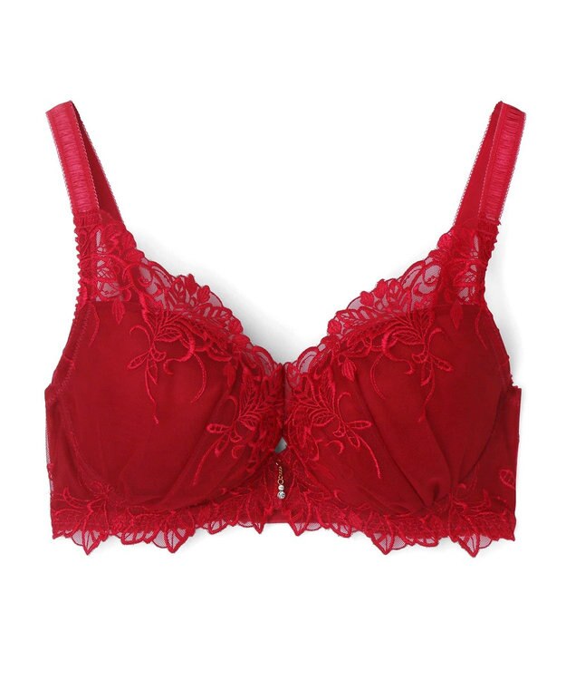 San-ai Resort（三愛水着楽園） 【エレガントコレクションPremium2312】単品ブラEFGカップ 【northerly】 レッド