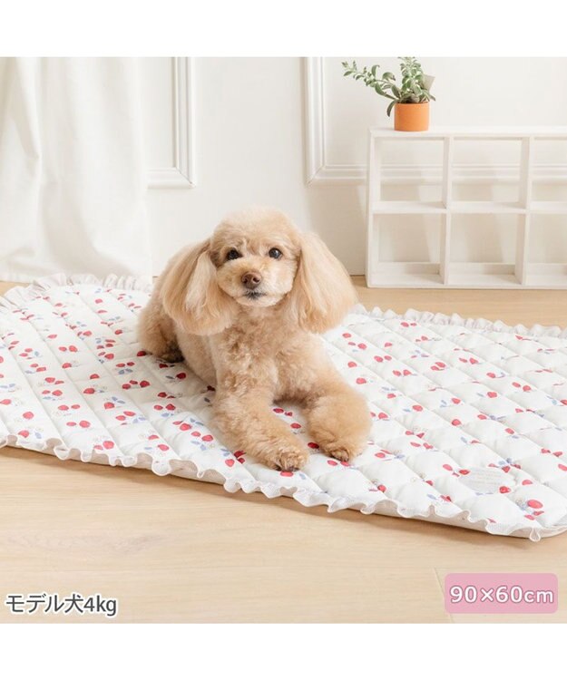 PET PARADISE ペットパラダイス クールマット 《苺花柄》 Ｍ ホワイト×レッド