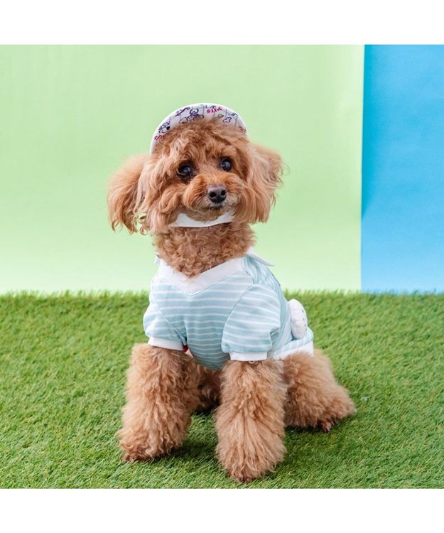 PET PARADISE スヌーピー サンバイザー ４Ｓ～３Ｓ/ＳＳ～Ｓ 小型犬 ホワイト