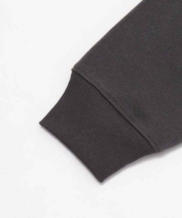 WEGO 【ユニセックス着用ITEM/裏起毛】LOONEYTUNESグラフィックプルオーバー スミクロ