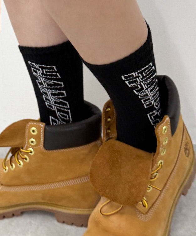 WEGO ロゴデザインソックス（R） 柄5