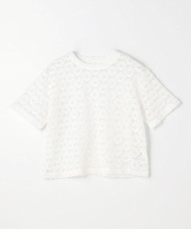 ANY L レースショート丈Tシャツ オフレース