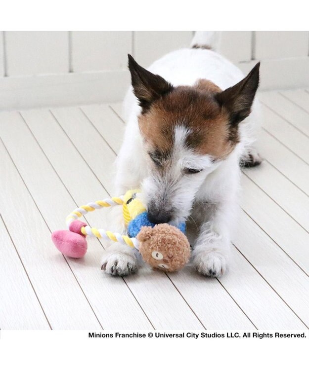 PET PARADISE ミニオン ボブ ティム ロープトイ  小型犬 イエロー