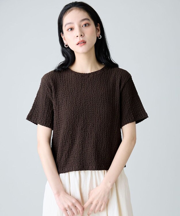 ANY L レースショート丈Tシャツ ブラウン