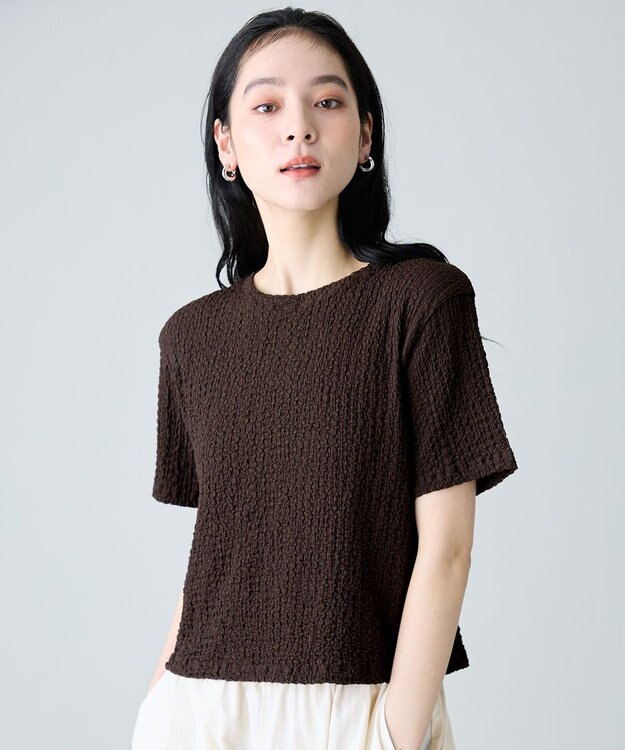 ANY L レースショート丈Tシャツ ブラウン