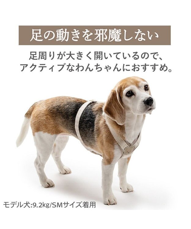PET PARADISE ペットパラダイス くまちゃん アクティブハーネス ＳＭ 中型犬 ベージュ