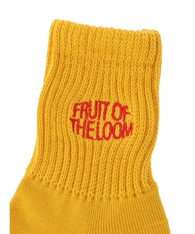 Green Parks ■ＦＲＵＩＴ　ＯＦ　ＴＨＥ　ＬＯＯＭ　３Ｐロゴ刺繍ソックス Mix
