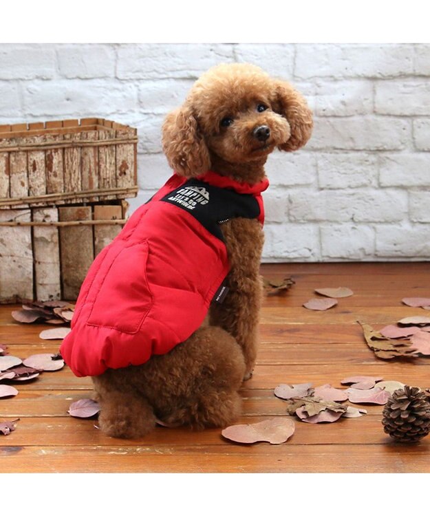 PET PARADISE ペットパラダイス 遠赤外線 エアベスト  《レッド》 小型犬 レッド