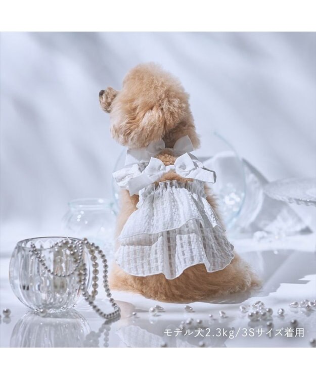 PET PARADISE cherircouture シースルーリボン ワンピース 小型犬 ホワイト