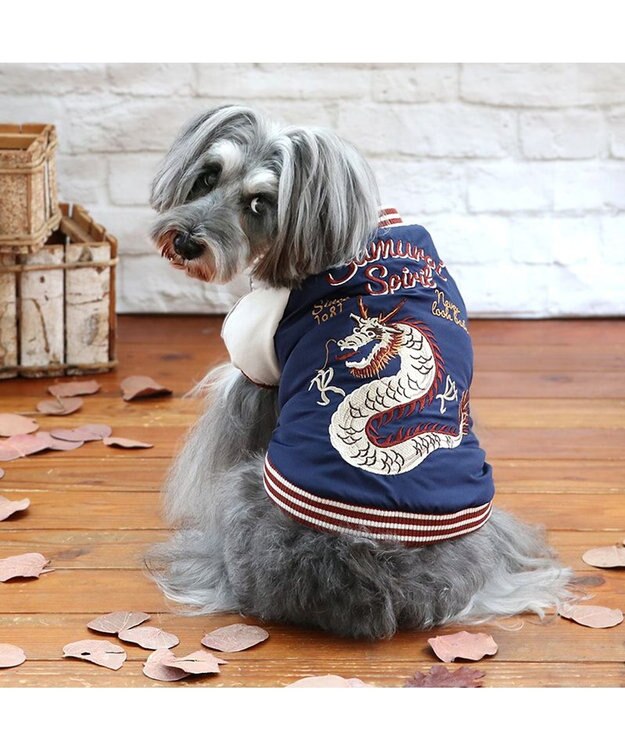 PET PARADISE ペットパラダイス 遠赤外線 スカジャン 《龍》 小型犬 -