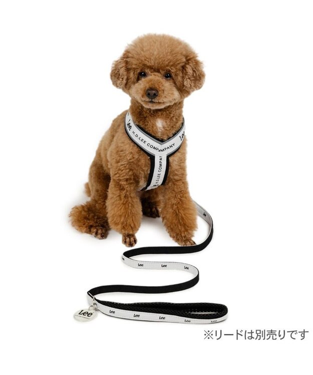 PET PARADISE Lee ロゴ アクティブ ハーネス Ｓ 小型犬 ホワイト×ブラック