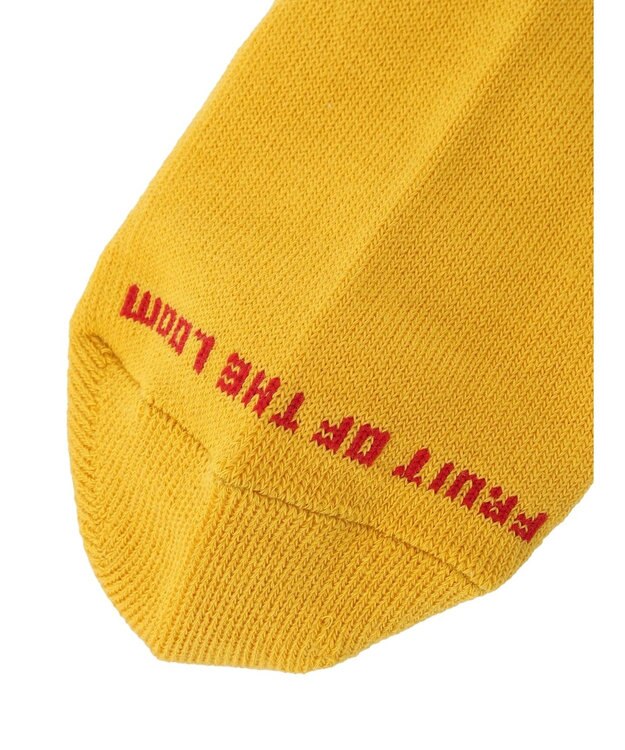 Green Parks ■ＦＲＵＩＴ　ＯＦ　ＴＨＥ　ＬＯＯＭ　３Ｐロゴ刺繍ソックス Mix