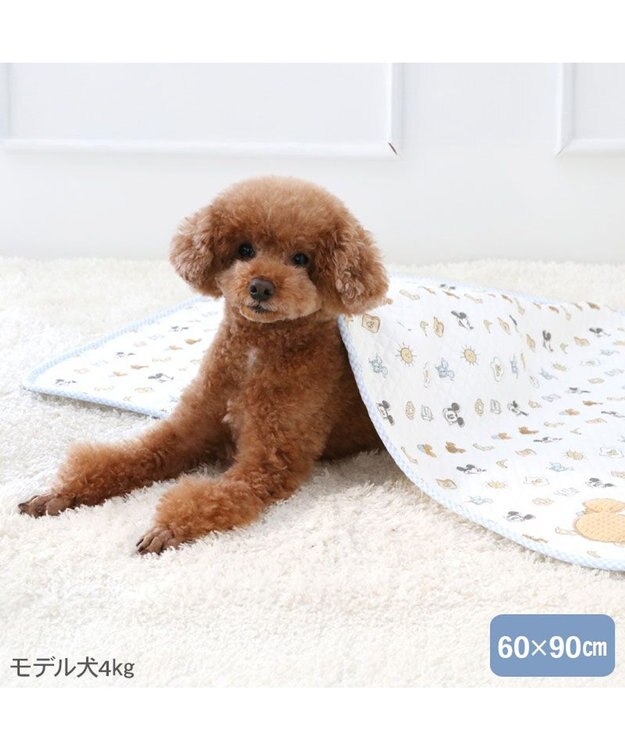 PET PARADISE ディズニー ミッキーマウス ブランケット 《パン柄》 ホワイト