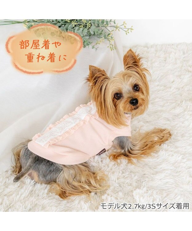 PET PARADISE ペットパラダイス  プレミアム ペティヒート レース Tシャツ 超小型犬 小型犬 ピンク
