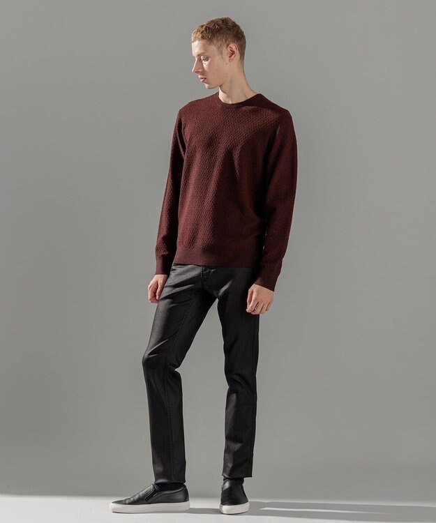 JOSEPH HOMME 【イージーケア】 ヴィスコースリンクス　クルーネックニット ワイン系