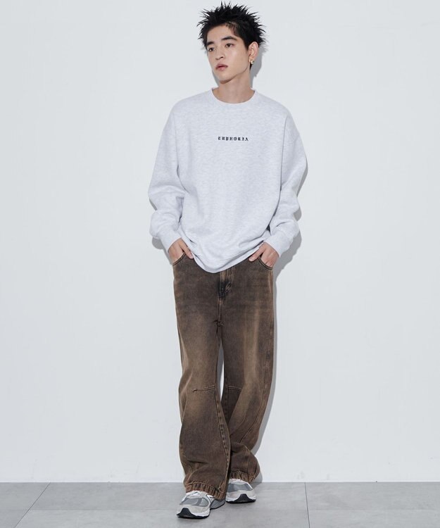 WEGO 【ユニセックス着用ITEM】アーチバックロゴグラフィックプルオーバー アッシュグレー