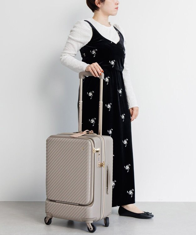 ACE BAGS & LUGGAGE Jewelna Rose HaNT ×Jewelna Rose コラボ スーツケース 機内持ち込み フロントオープン 34L 06820 ジュエルナローズ グレージュ