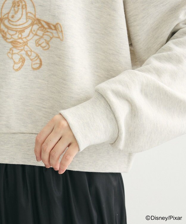 Green Parks トイストーリー／立体ロゴショートプルオーバー Oatmeal