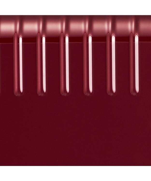 ACE BAGS & LUGGAGE ace. エース パリセイド3-Z 06917 スーツケース ジッパータイプ エキスパンダブル 33~41リットル レッド