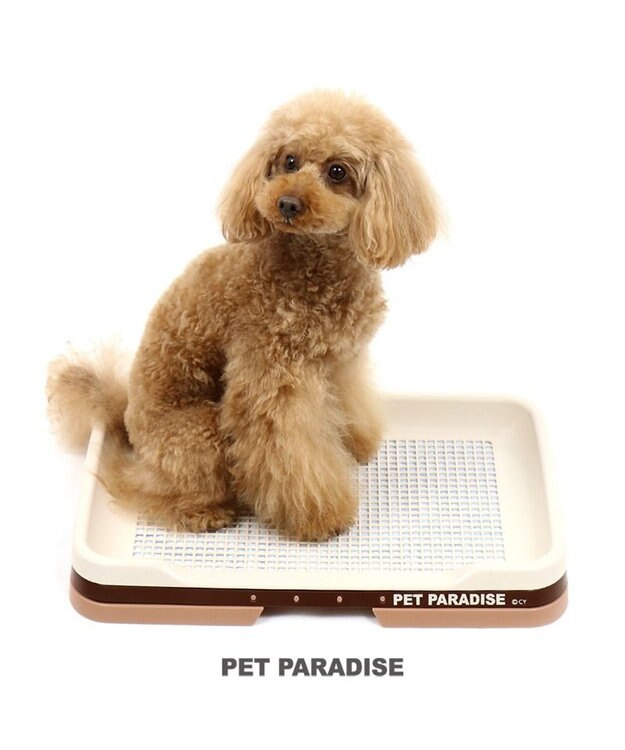 PET PARADISE ペットパラダイス 2WAY トイレトレー（室内トイレ） 茶系