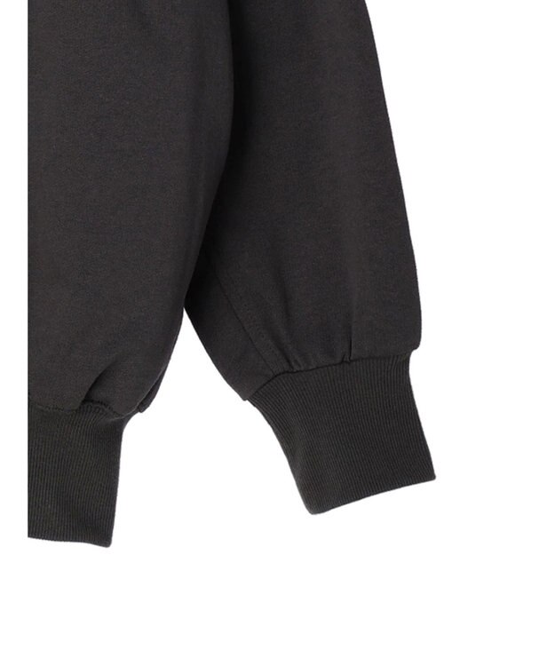 Green Parks コットンＵＳＡミニ裏毛ロングＺＩＰパーカー Dark Gray