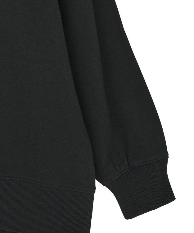 AMERICAN HOLIC 90sカラーロゴ裏毛プルオーバー Black