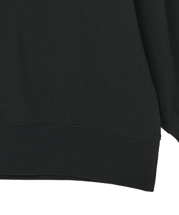 AMERICAN HOLIC 90sカラーロゴ裏毛プルオーバー Black