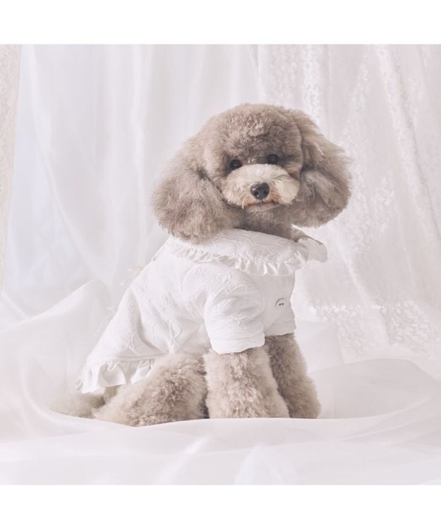 PET PARADISE cherircouture ジャガードコート 小型犬 ホワイト