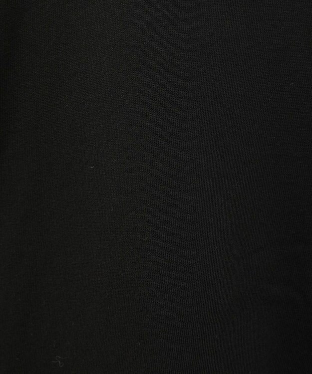 Green Parks ＡＣＤＣ／ＲＯＣＫ　ＴシャツⅡ Black