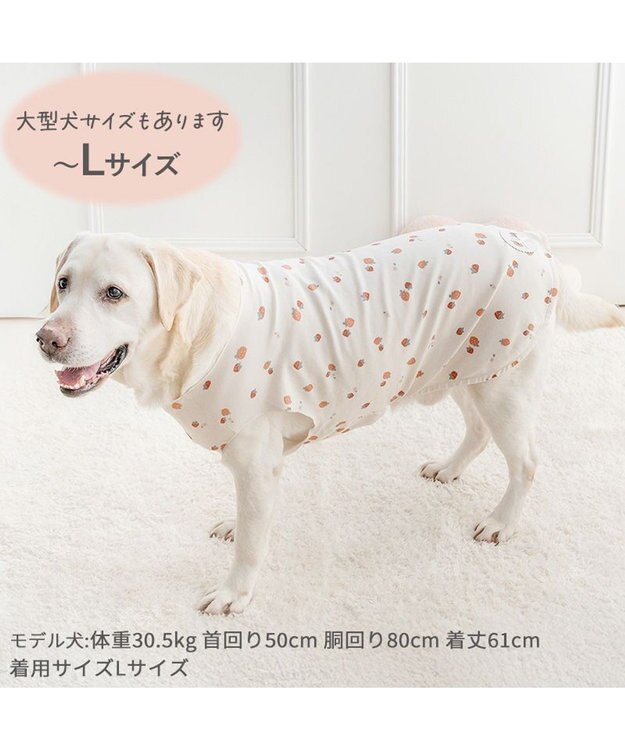 PET PARADISE ペットパラダイス はじめてのタンクトップ 《花苺柄》 中型犬 大型犬 ホワイト×レッド