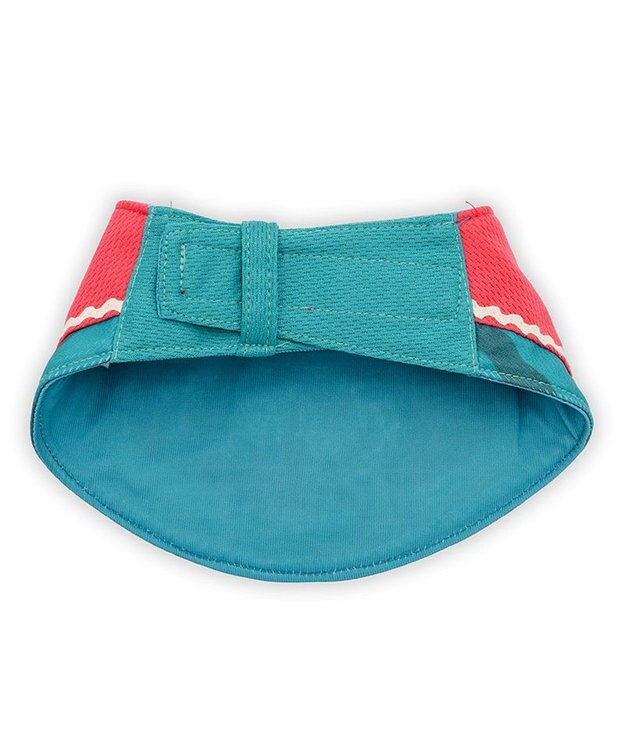 PET PARADISE スヌーピー クールバンダナ 《スイカ柄》 中型犬 大型犬 レッド