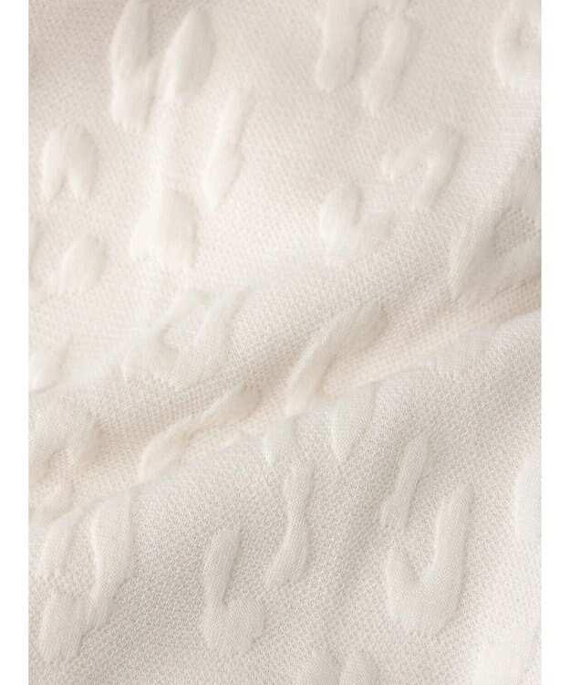 Green Parks ヒョウ柄ジャガードプルオーバー Ecru