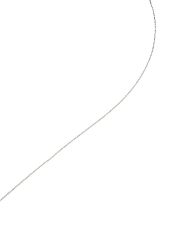 earth music&ecology スマイリースライドネックレス Silver